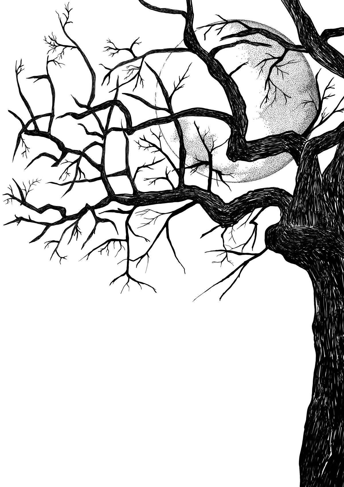 Black ink drawing of bare tree branches and full moon on light background